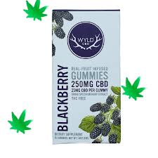 Photograph of product: 250 mg | Blackberry HEMP CBD Gummies | 10pk