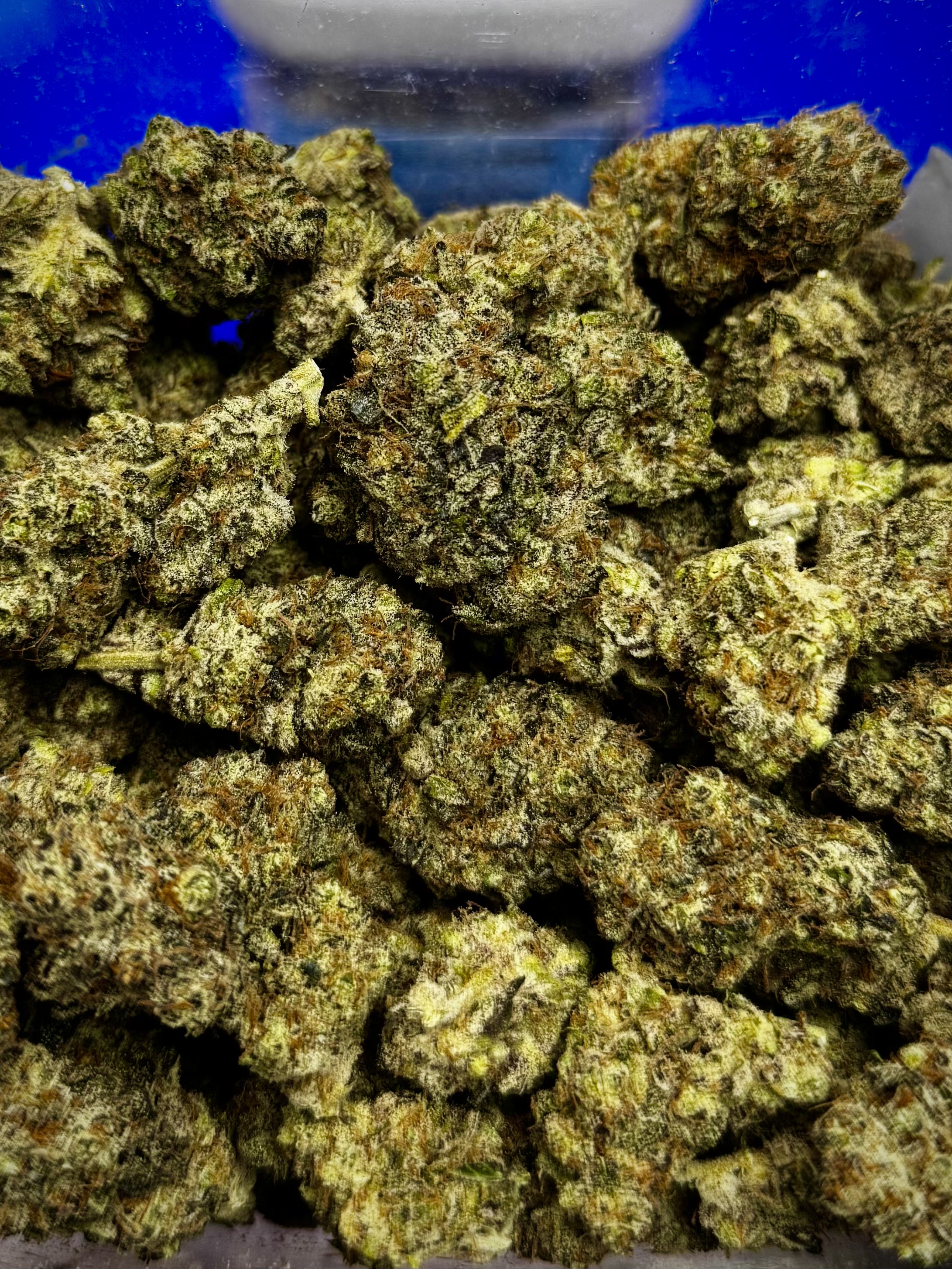 Photograph of product: Lizard Burger - High Ridge Farms - 7g