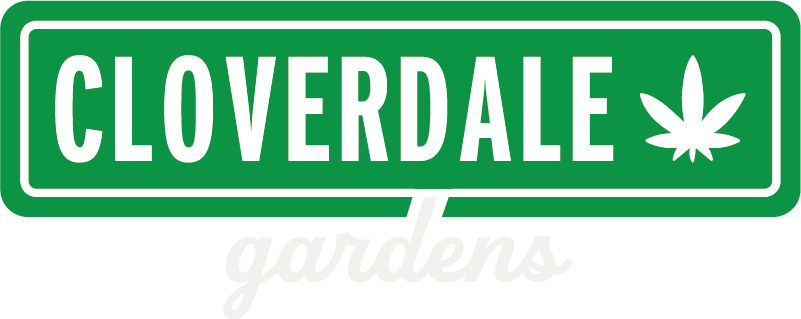 Photograph of product: Cloverdale Gardens | Krush Cake Prepacked Smalls - 28g