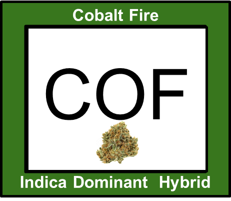 Photograph of product: Cobalt Fire 3.5g - 60/40 Oui'd Hybrid - Flora Farms