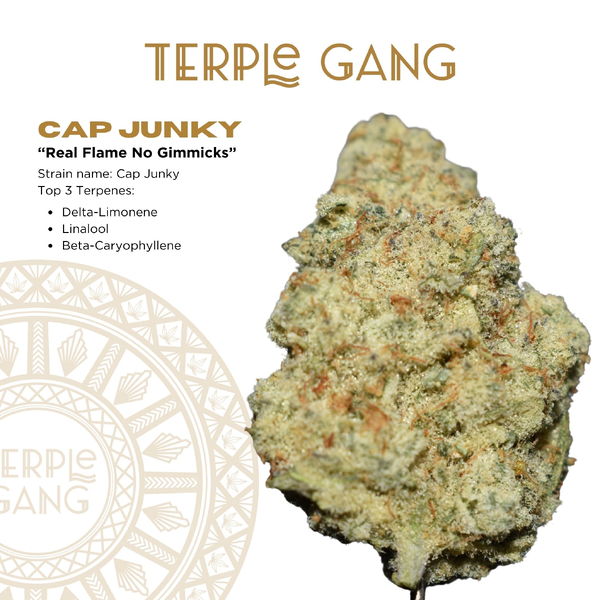 Photograph of product: Cap Junky - 28g