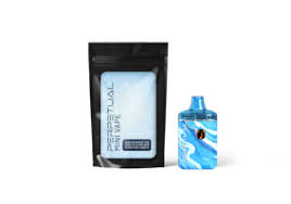 Photograph of product: Perpetual - Spearmint - 1g Disposable