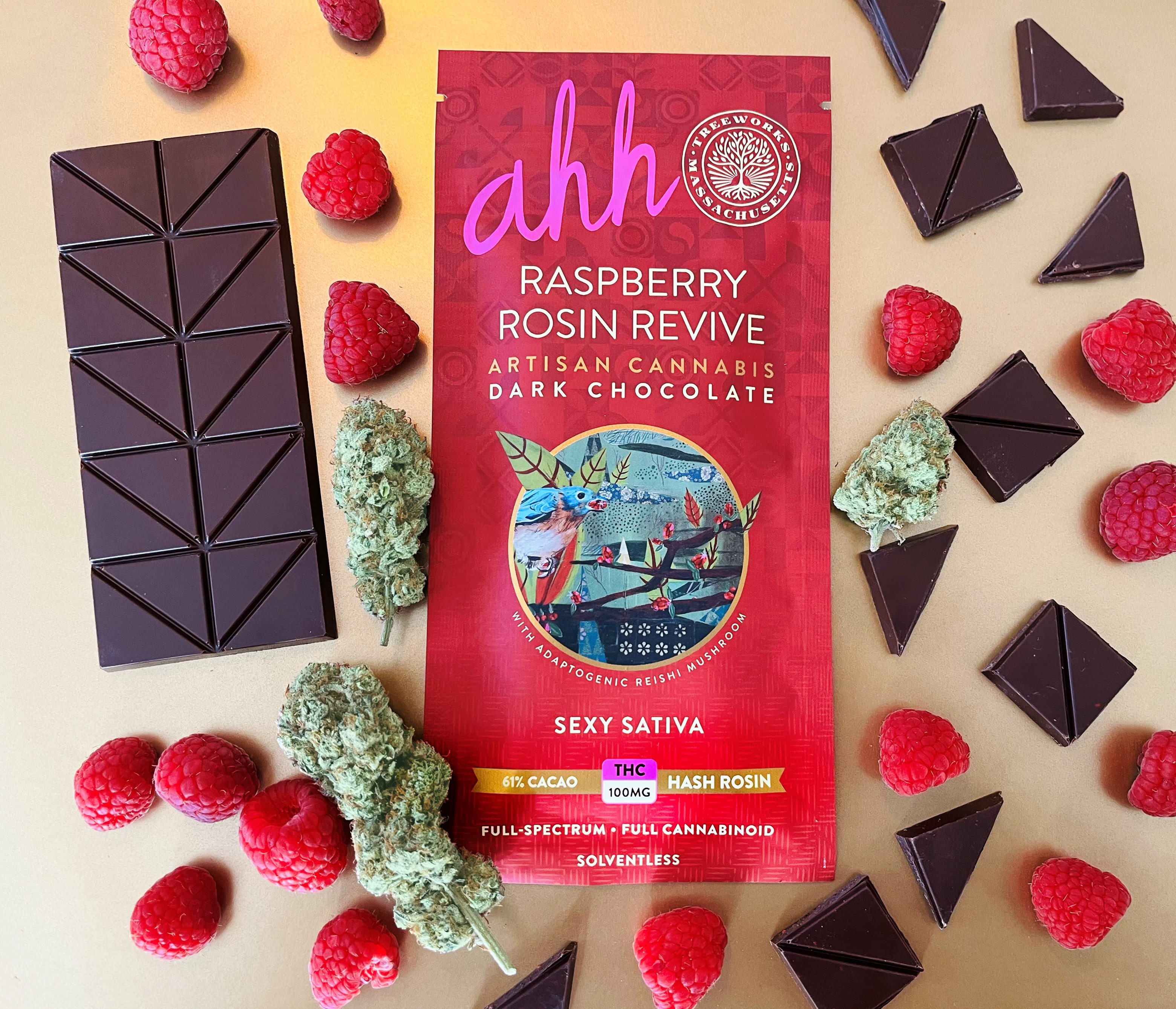 Photograph of product: Sexy Oui'd | Raspberry Rosin Revive Dark Chocolate w/ Reishi | [100 mg]