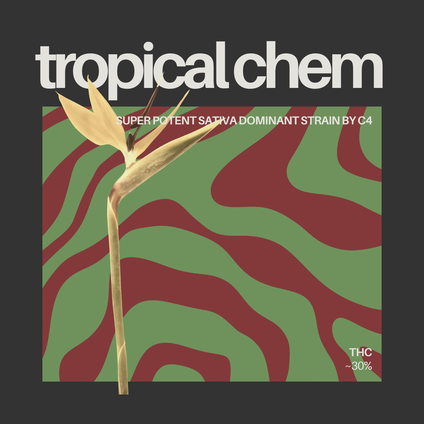 Photograph of product: Tropical Chem Smalls (14g)