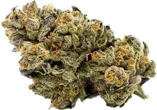 Photograph of product: Mandarin Cookies | Flower | 3.5g