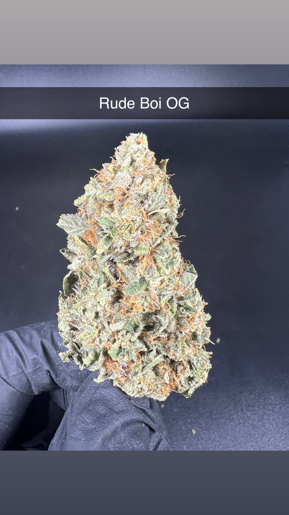 Photograph of product: Rude Boi OG - Flower - Hybrid - 28g