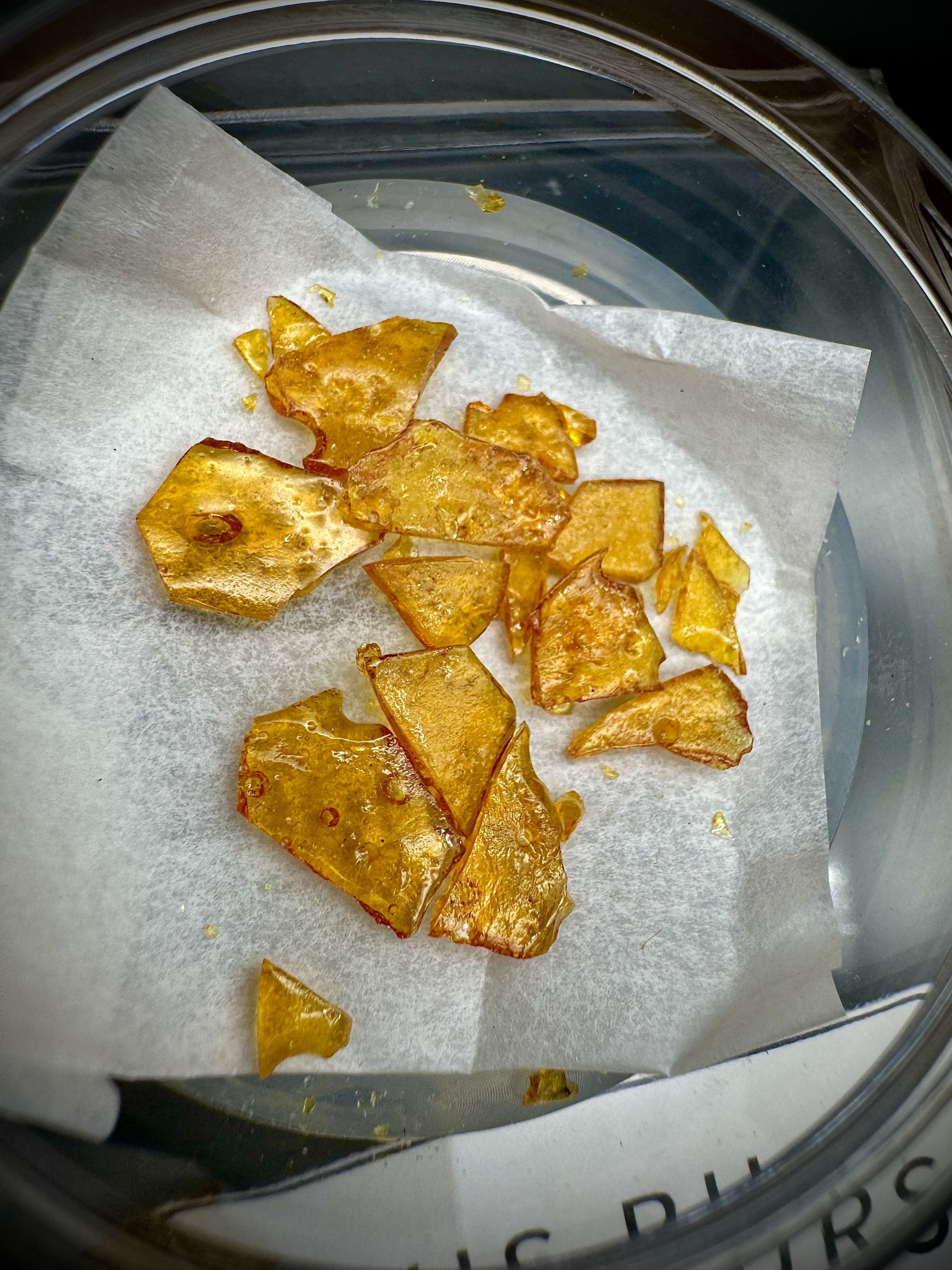 Photograph of product: Citrus Burst Shatter Shatter | Oui'd