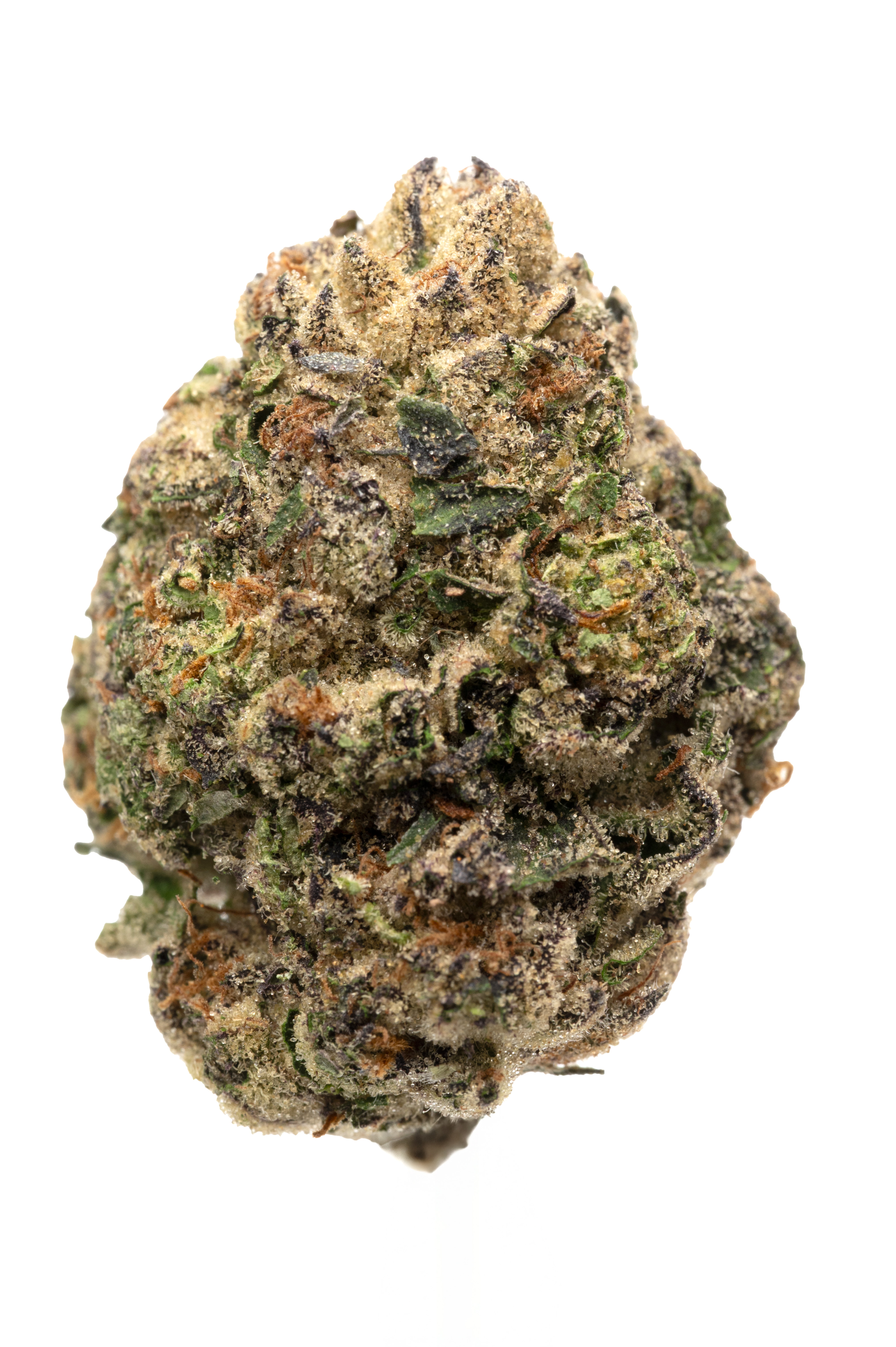 Photograph of product: Hurley | Flower | White Runtz - 3.5g