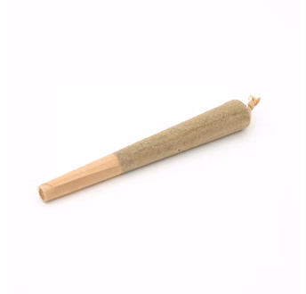 Photograph of product: Garlic Cocktail 1pk 1g