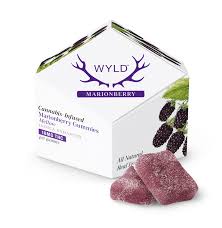 Photograph of product: Wyld Gummies Marionberry 100mg