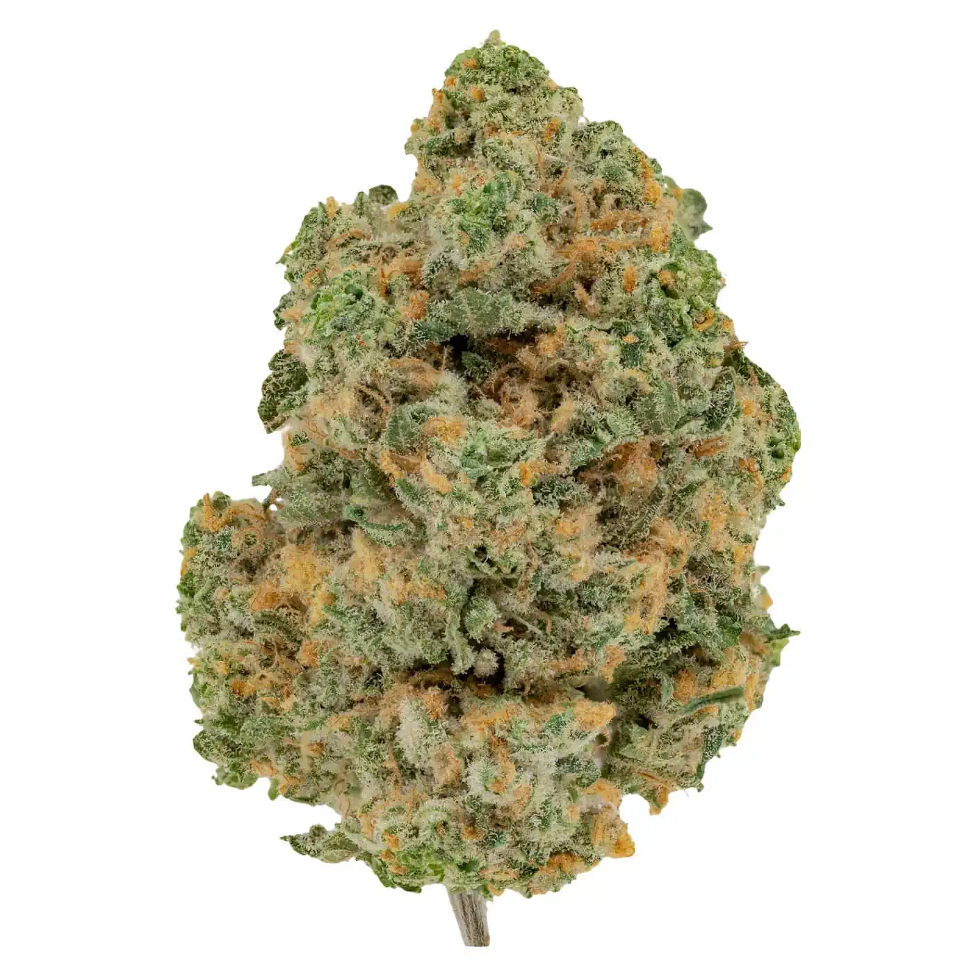 Photograph of product: Propaganda | Foul Runtz | Flower | Bulk/Deli - 28g