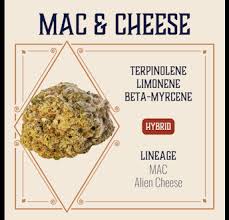 Photograph of product: Elevate Mac & Cheese Flower | 3.5g