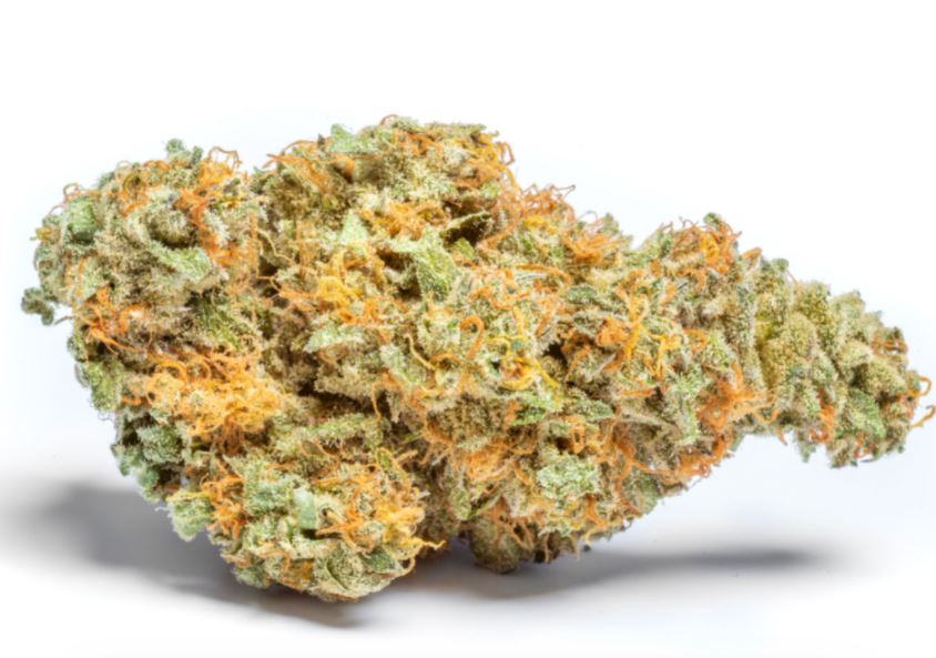 Photograph of product: Equinox Lavender Jones Pre-Pack Flower 28g
