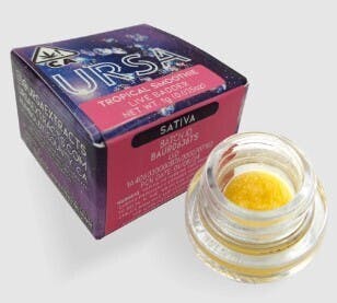 Photograph of product: SALE URSA 1g Tropical Smoothie Live Badder