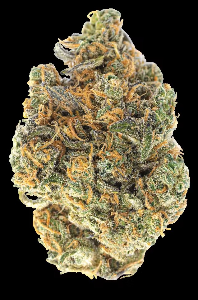 Photograph of product: Glitter Bomb: Bulk flower 50:50 Hybrid
