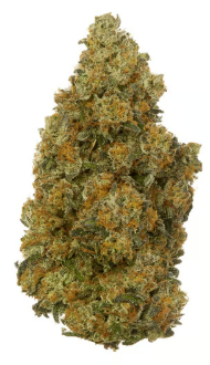 Photograph of product: Loud Cake | Littles | 28g