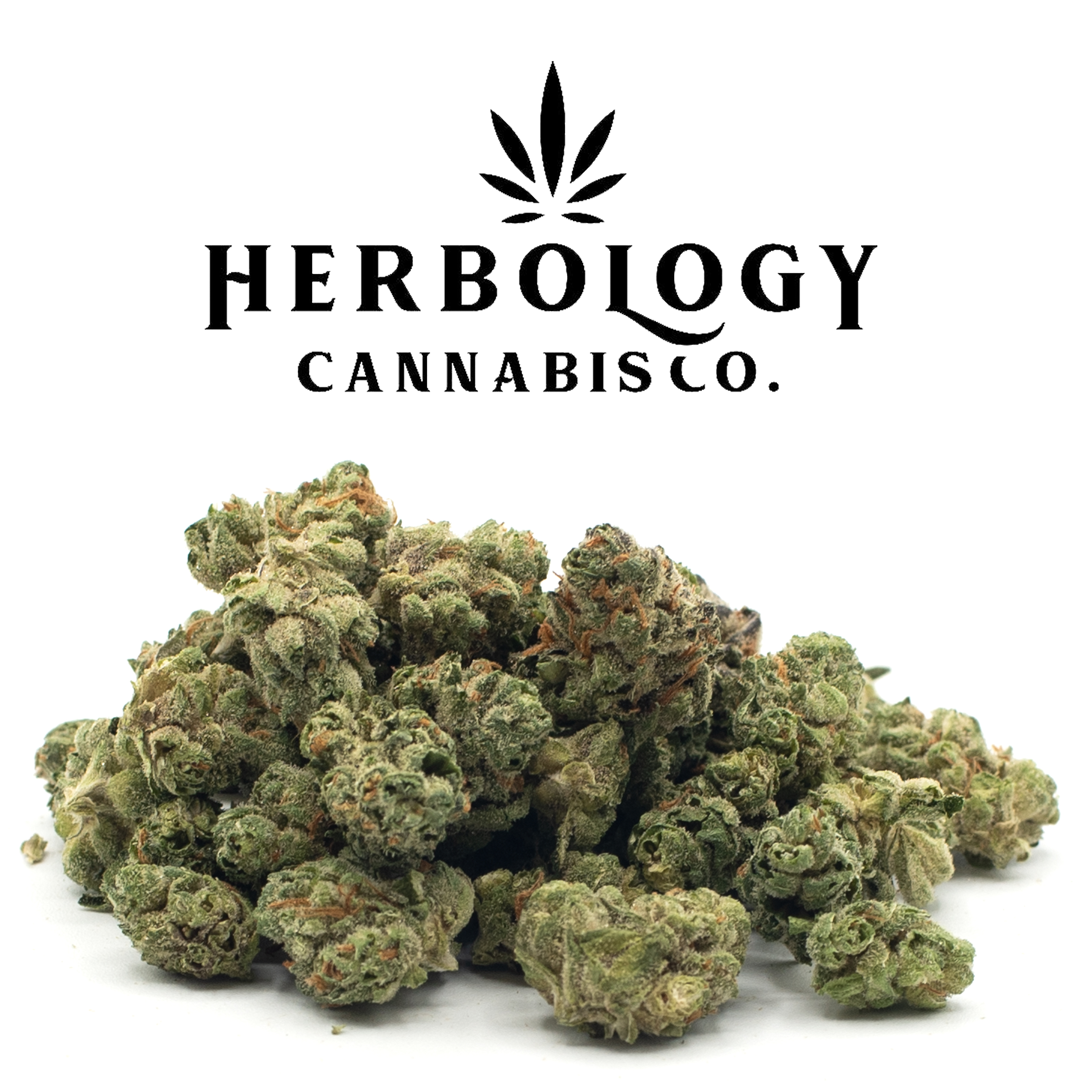 Photograph of Product: Carbon | Alpha Dog | Smalls | Deli - 28g