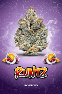 Photograph of product: Michigrown | Runtz Pre-Pack Flower - 3.5g