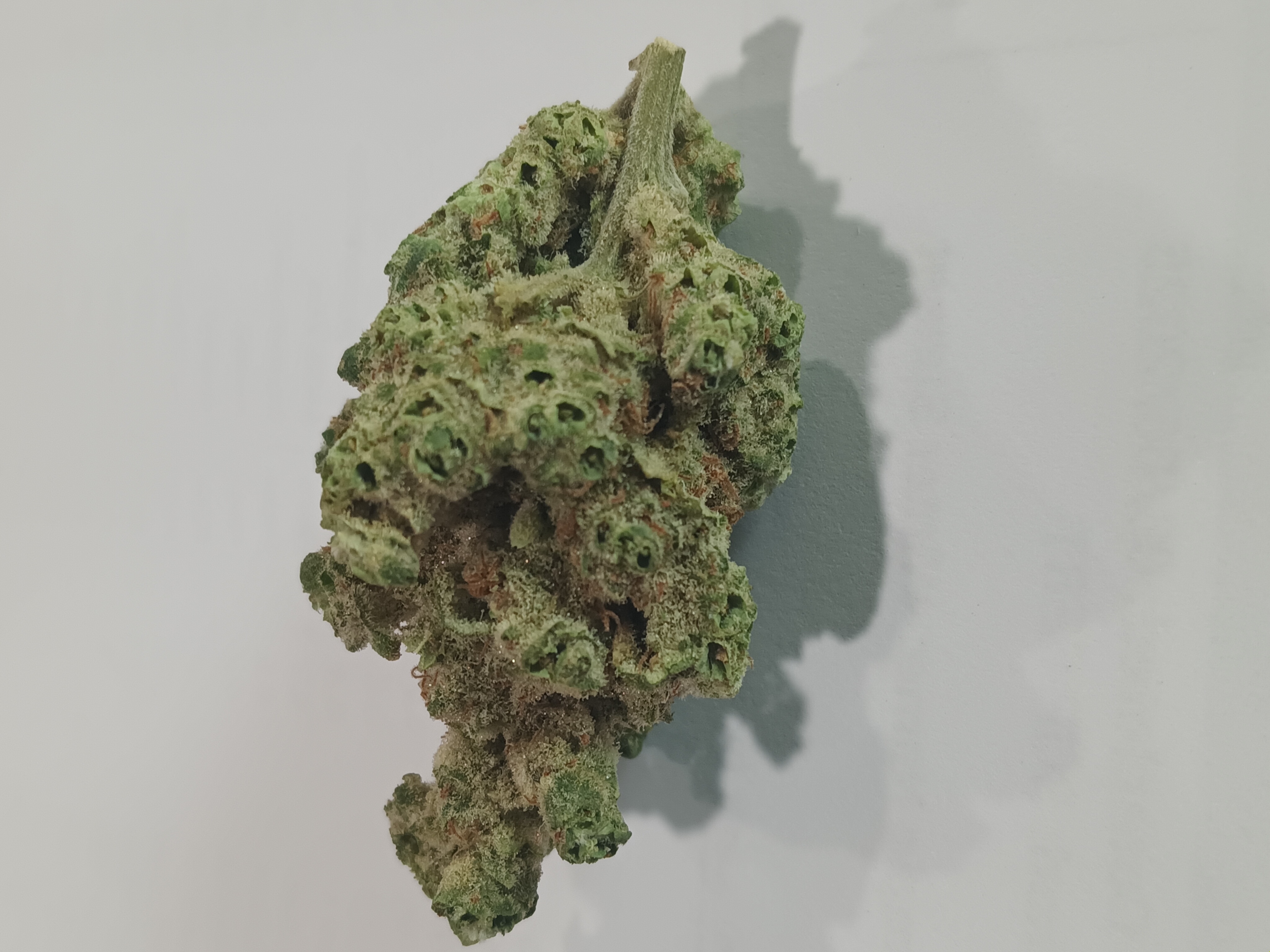 Photograph of product: Berry Junky Bulk Flower - 1g