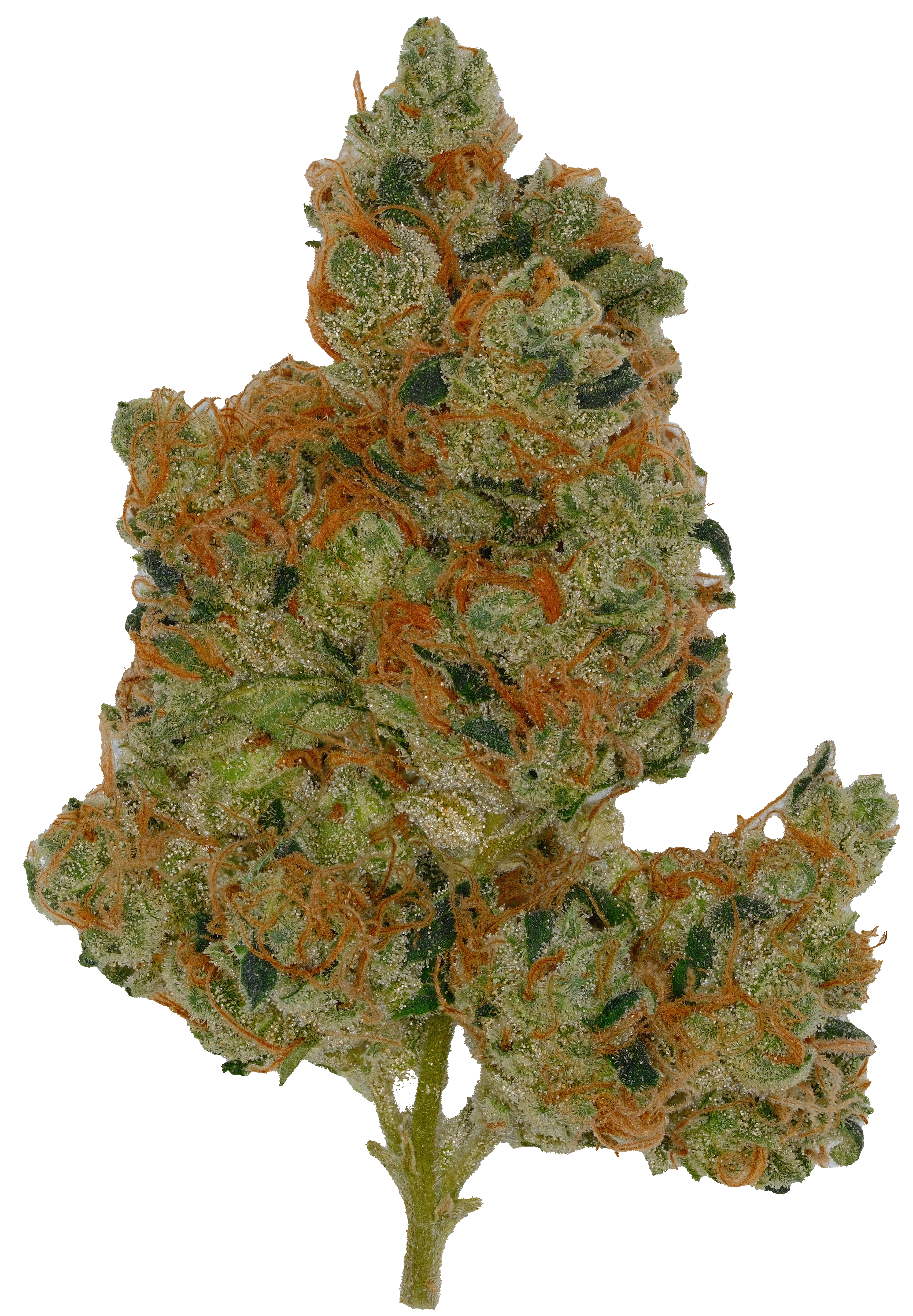 Photograph of product: Sour Diesel - 3.5g