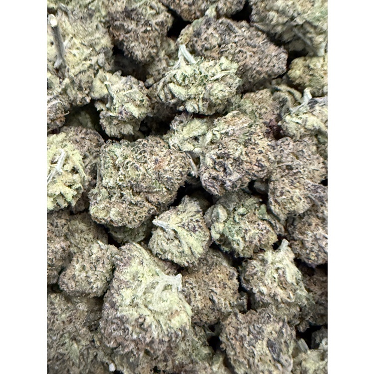 Photograph of product: Tropical Runtz - Indoor Flower - Excolo - Harvested: 7/9/25 - 1g