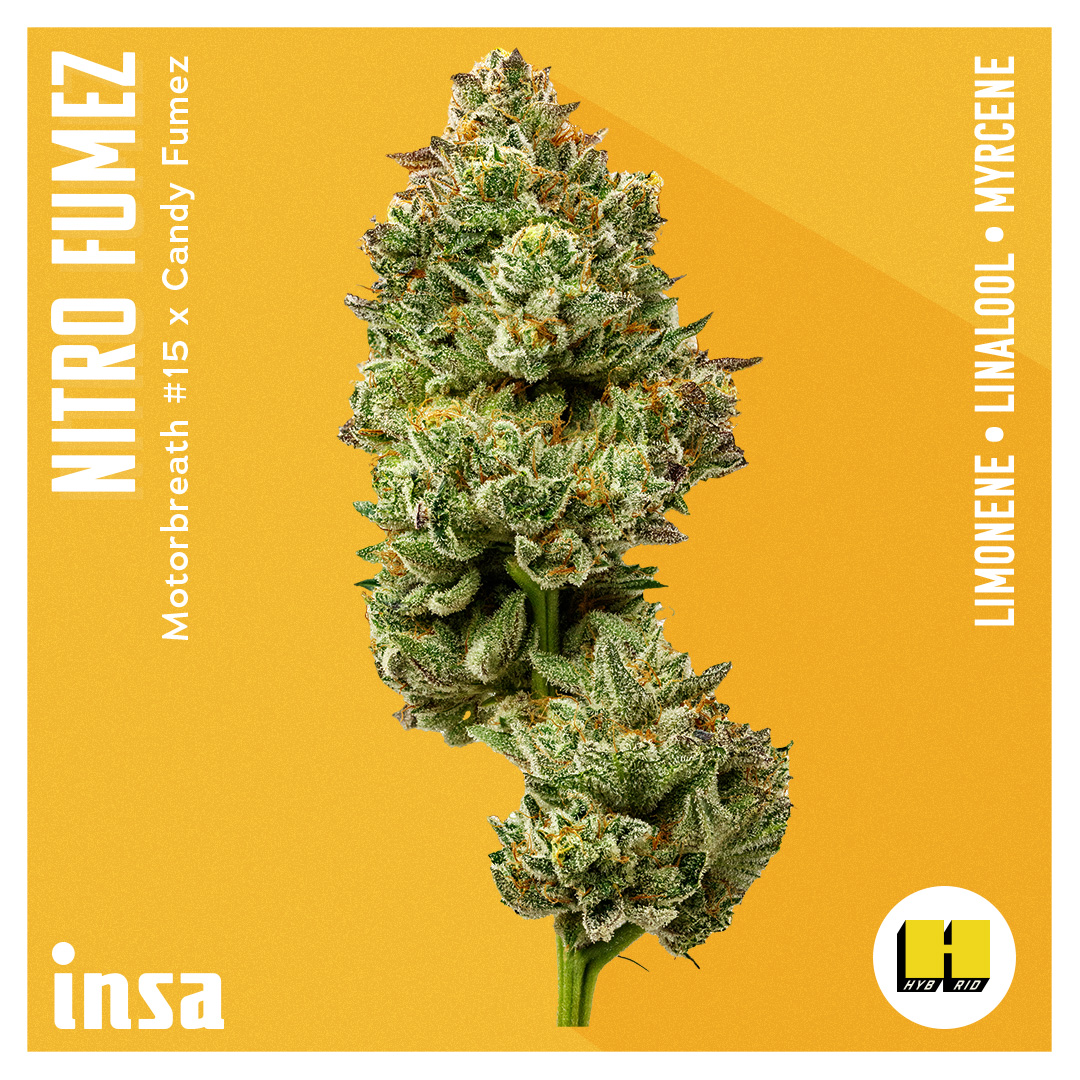 Photograph of product: Flower - Nitro Fumez - 3.5g
