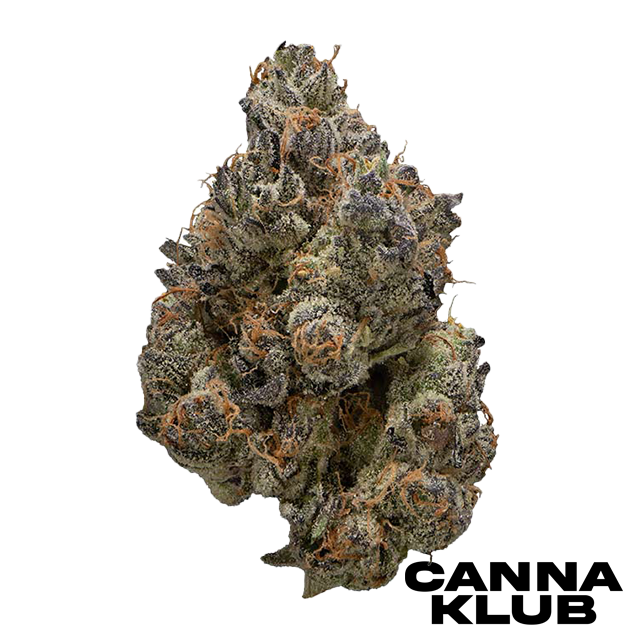 Photograph of product: GORILLA RUNTZ #25 3.5G
