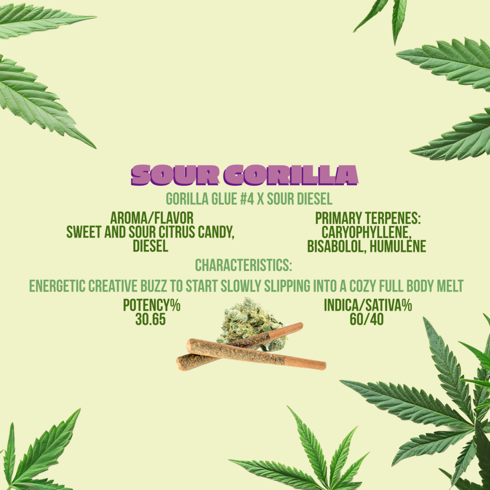 Photograph of product: 2Js - Sour Gorilla - Preroll - 0.7g - 2pk (1.4g)