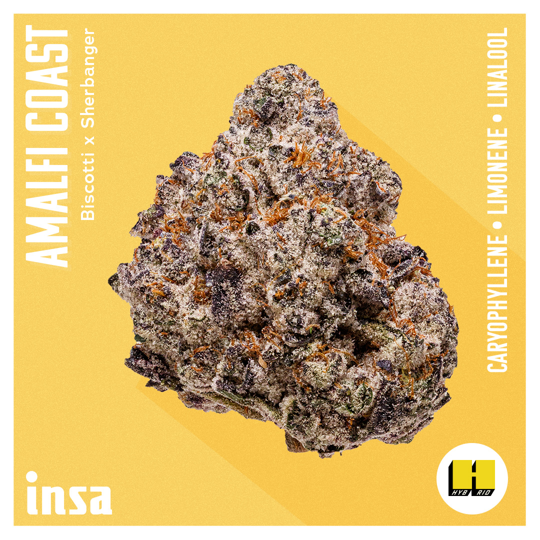 Photograph of product: Flower - Amalfi Coast - 3.5g