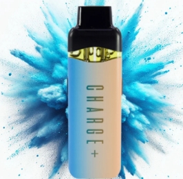 Photograph of product: Vanilla Chai x Berry Blast | Dual Chamber Disposable