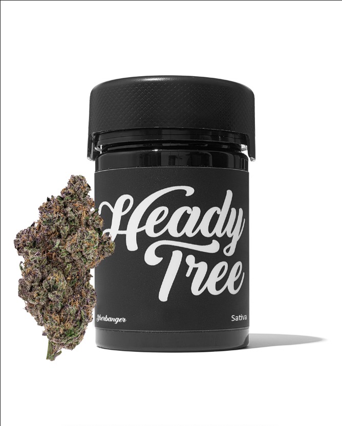 Photograph of product: Heady Tree - 3.5g Flower Jar - Future Haze