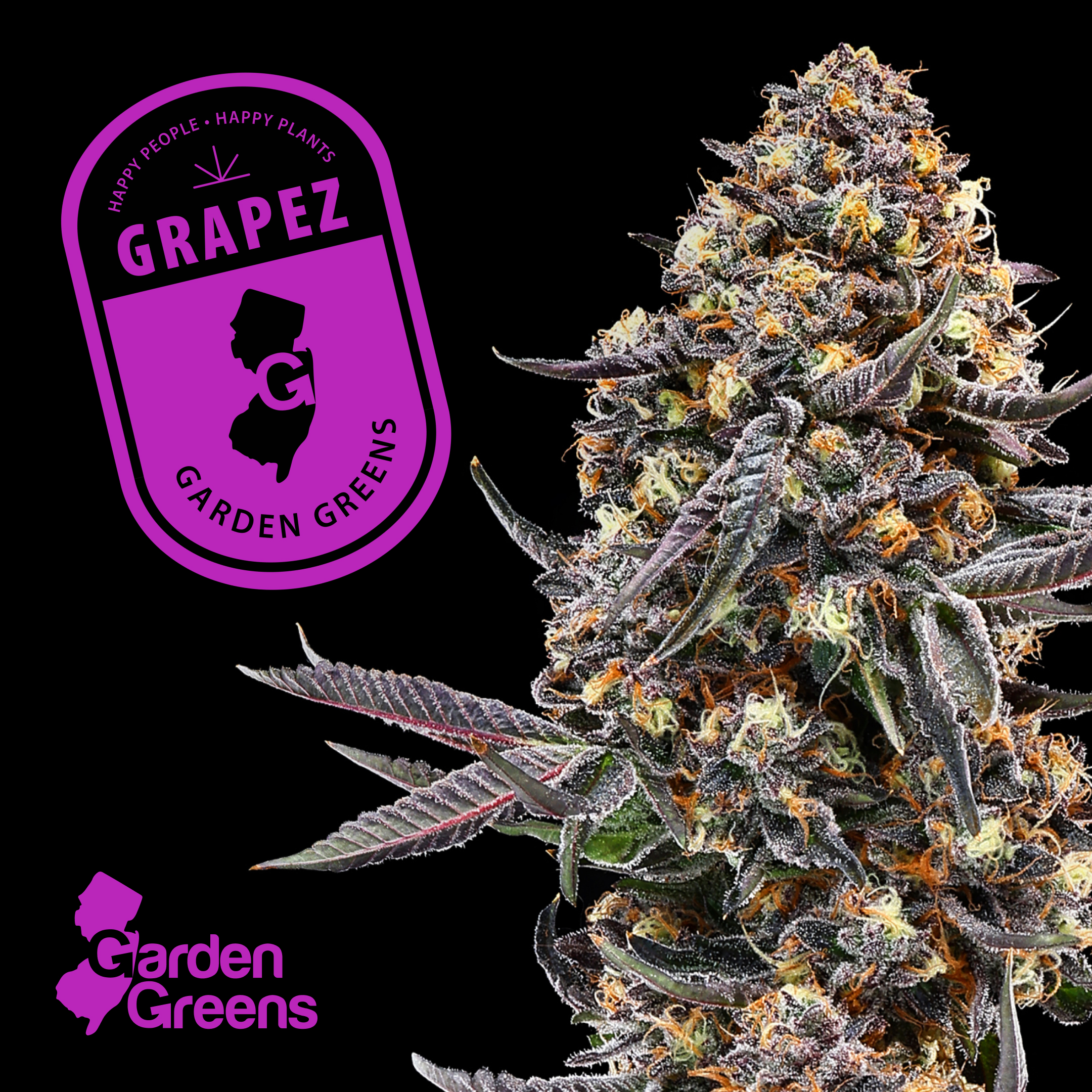 Photograph of product: Garden Greens | Grapez - 3.5g