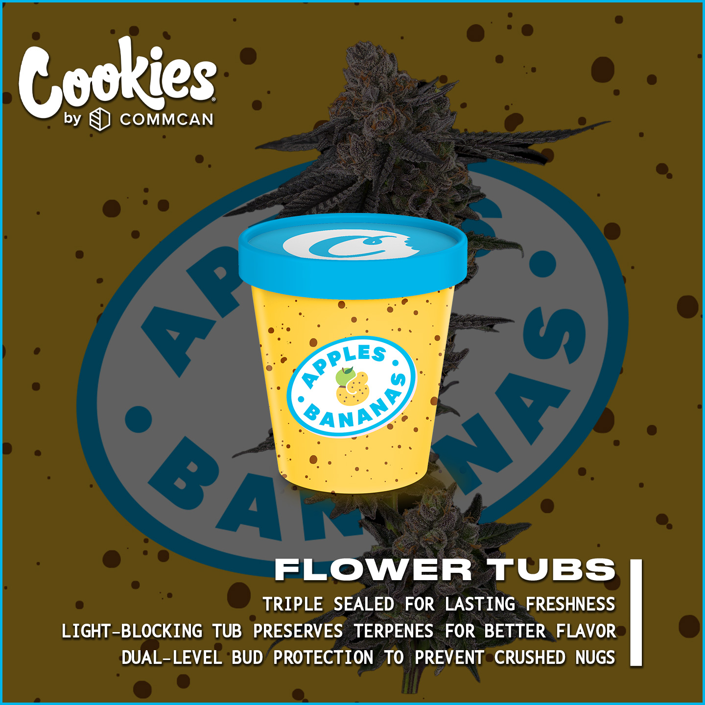 Photograph of product: Apples & Bananas | 3.5g Tub | Premium Buds