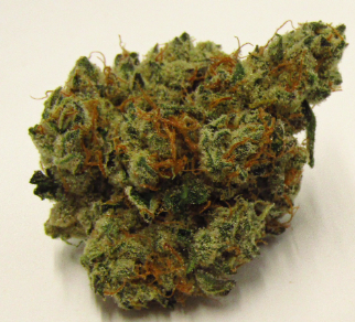 Photograph of product: Garlic Cocktail | Flower OZ - 28g