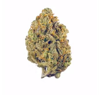 Photograph of product: Gary Payton - 14g