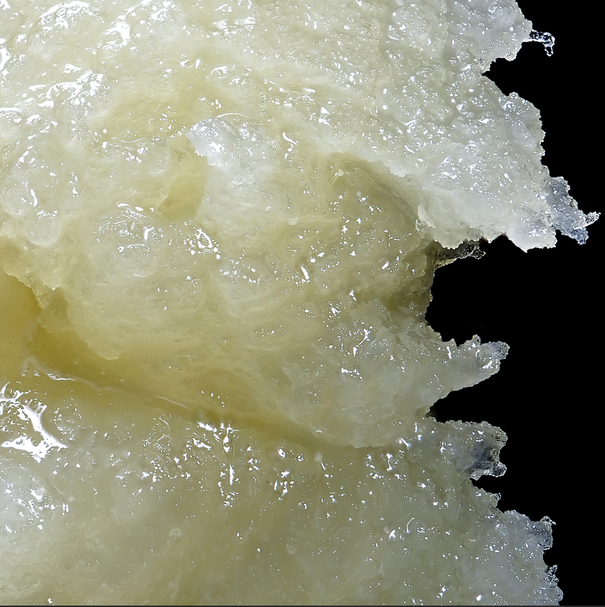 Photograph of product: Wojo Live Rosin | Luchini - Hybrid