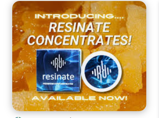 Photograph of product: Frozen Margarita | Badder | 1G | Resinate