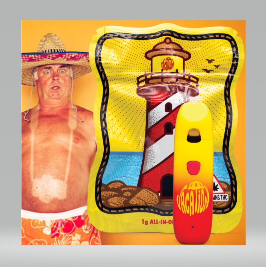 Photograph of product: Pineapple Coconut (I) Disposable Vape 1g