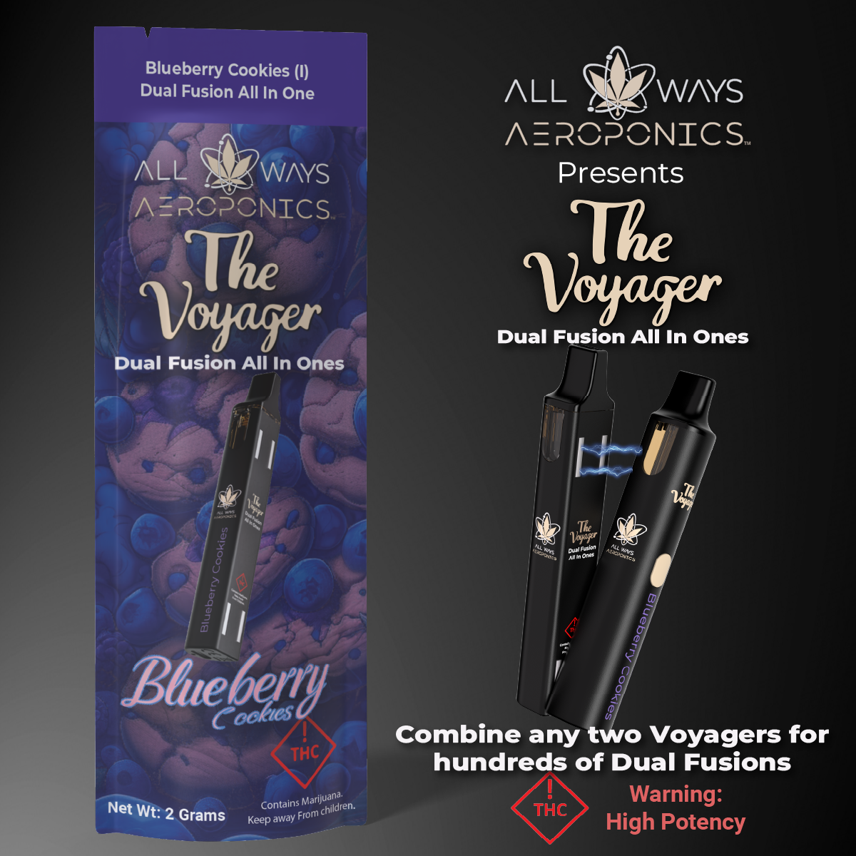 Photograph of product: AWA Voyager Dual Fusion - Blueberry Cookies (I)