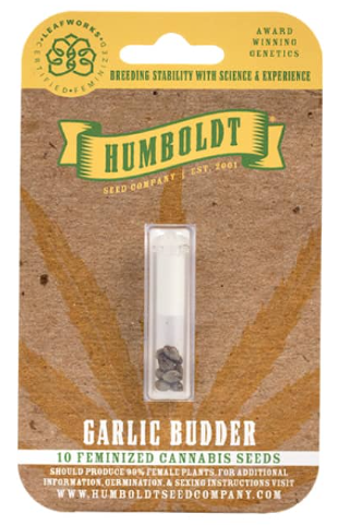Photograph of product: Humboldt Seed Co - Garlic Budder - 10pk Fem - SP25