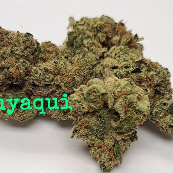 Photograph of product: Zuyaqui - Loose Flower - Nebadon Farms - (Batch 02487) - 1g