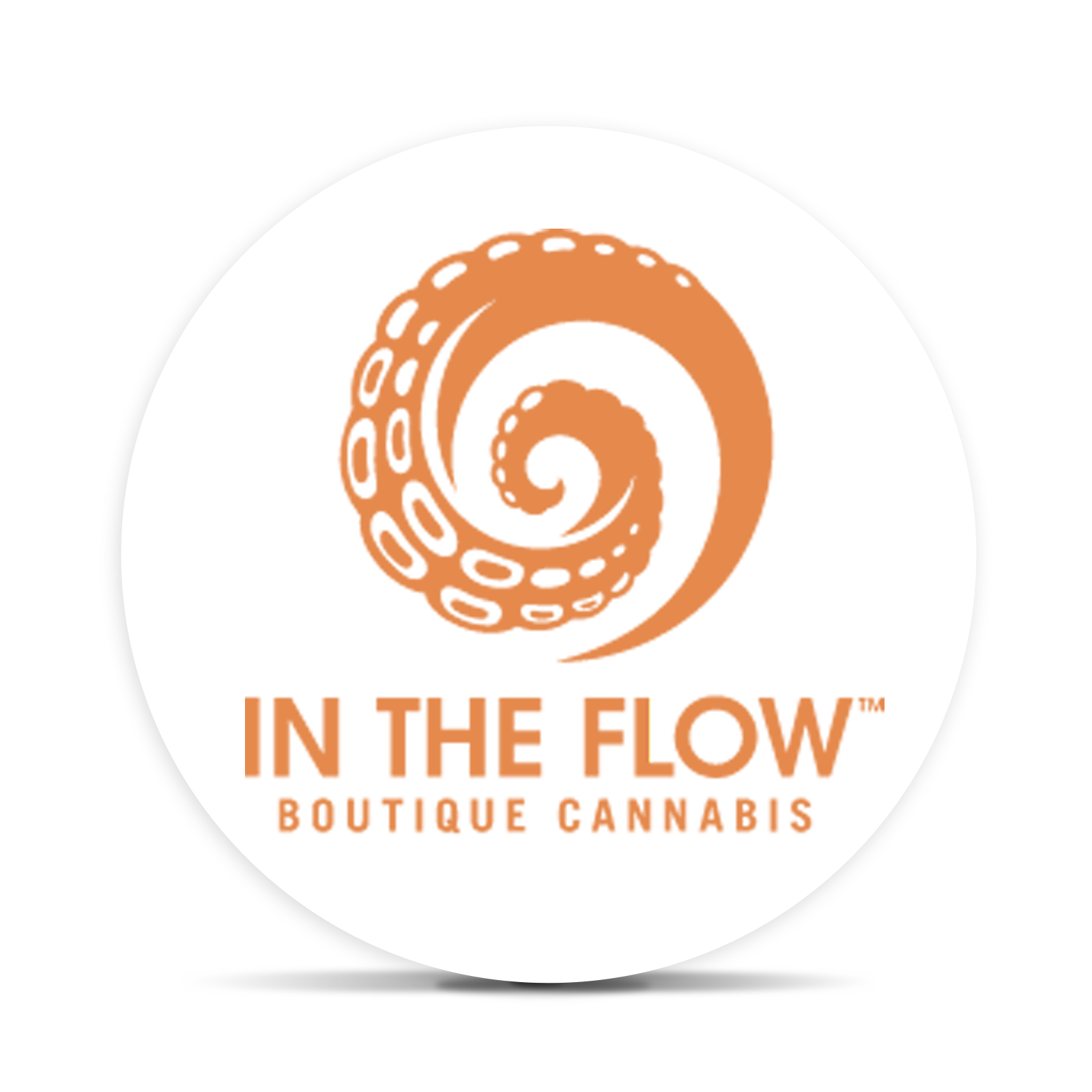 Logo for Brand In The Flow