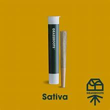 Photograph of product: Novarine #1 | Pre-Roll