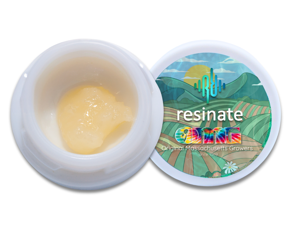 Photograph of product: 93 Blueberry | Badder | 1g