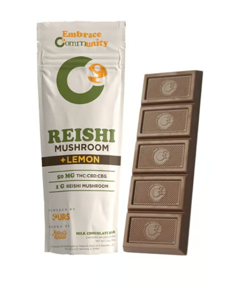 Photograph of product: Community - Chocolate - Reishi Mushroom Triple Berry Bar (50mg)