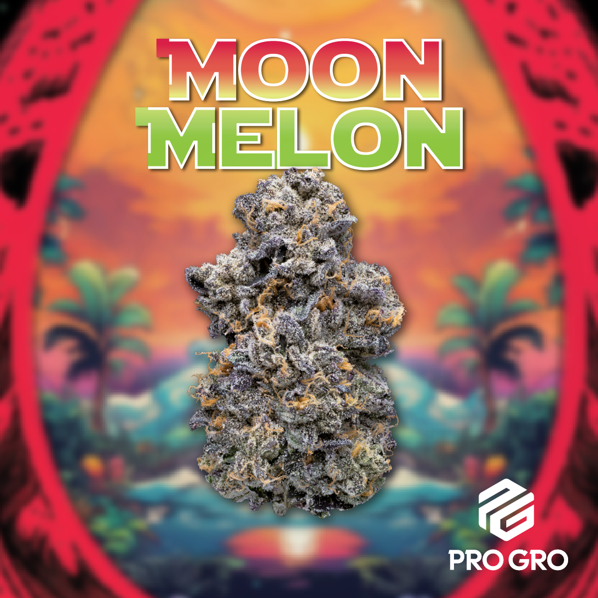 Photograph of product: Moonmelon | Pro Gro | Bulk Flower