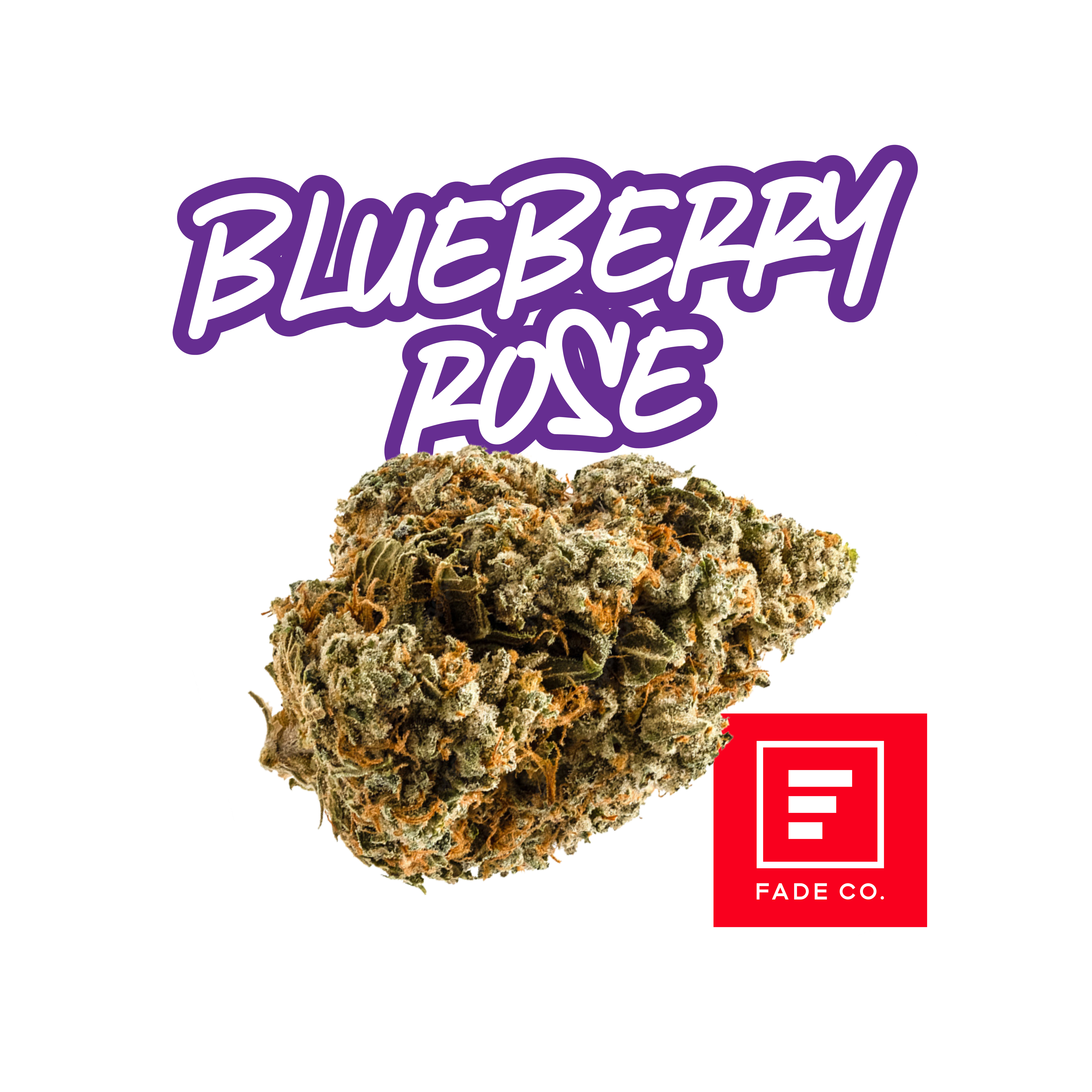 Photograph of product: Blueberry Rose | 3.5g