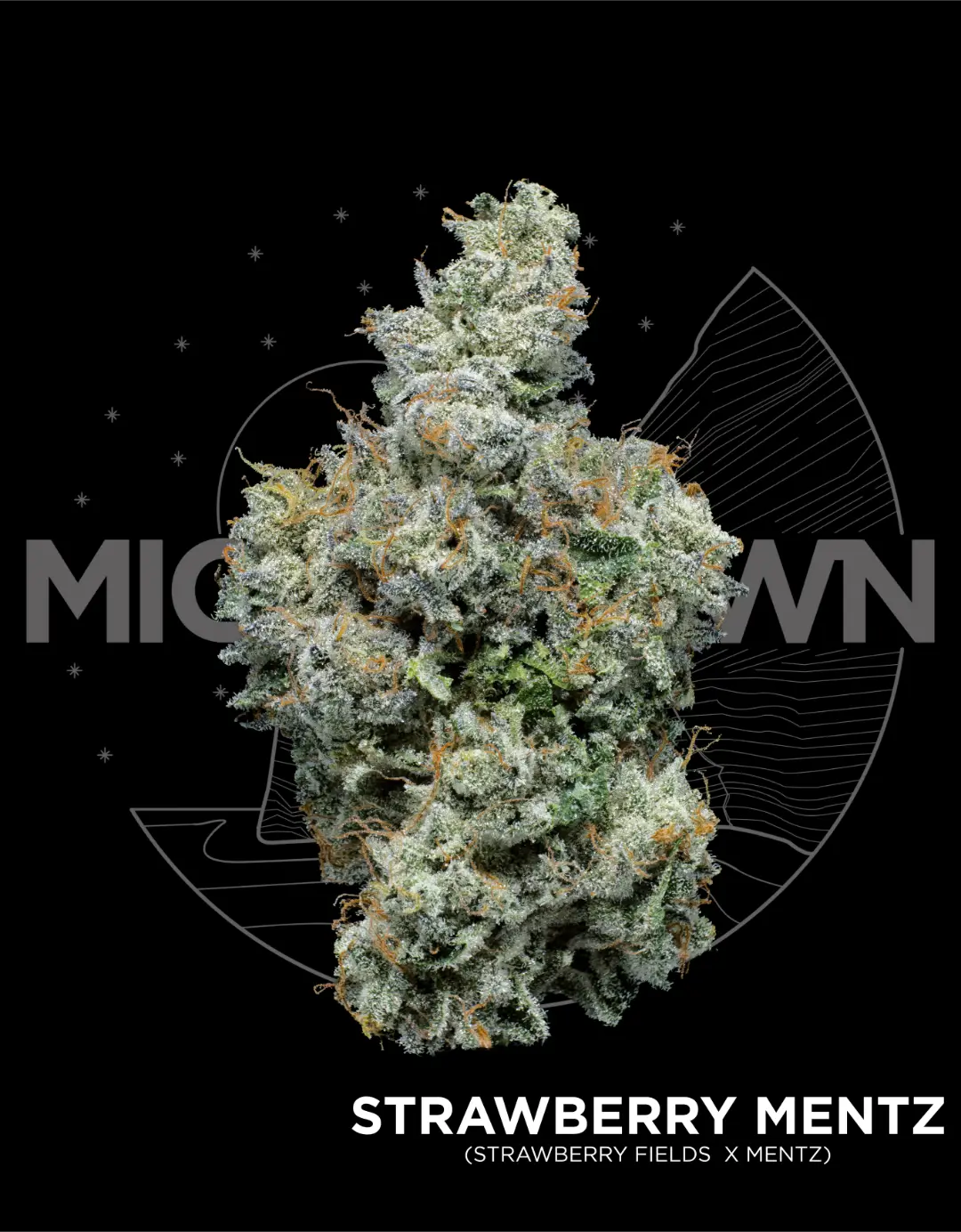 Photograph of product: Strawberry Mentz - 3.5g