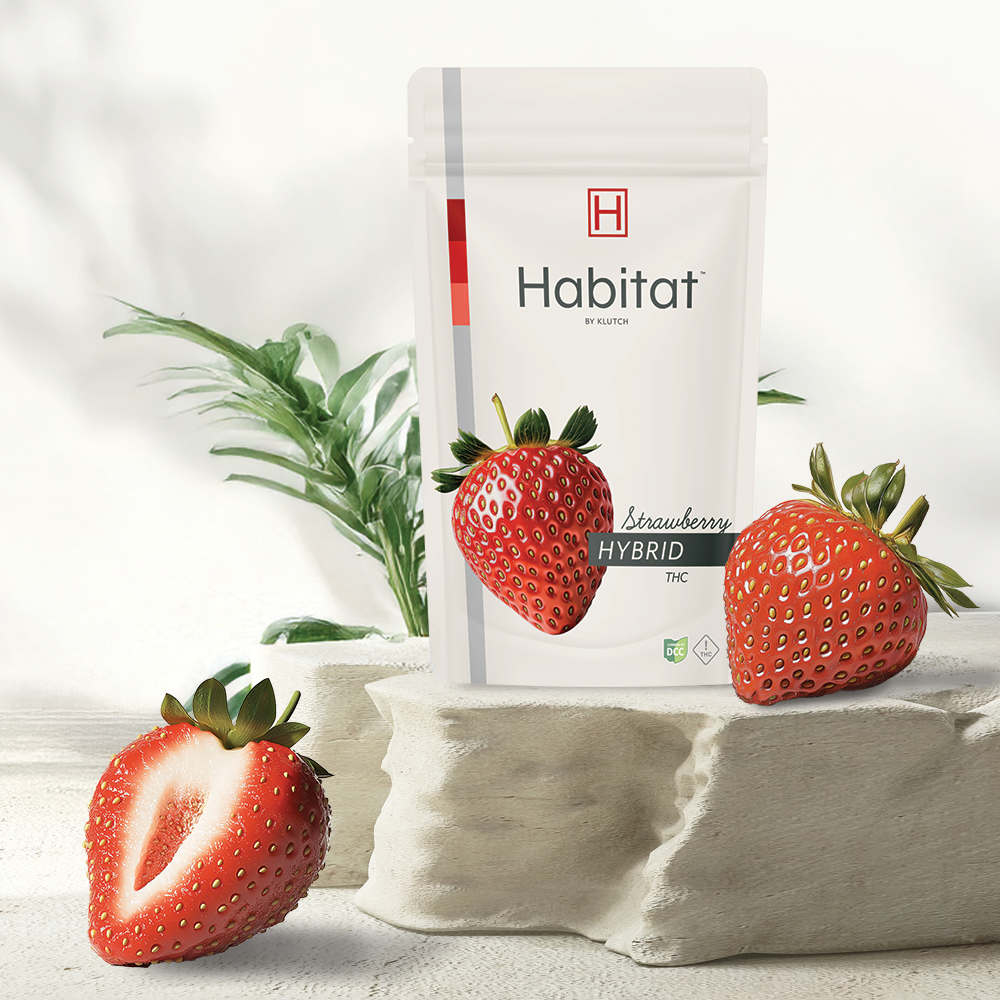 Photograph of product: | Strawberry Hybrid Go Pack Gummies |