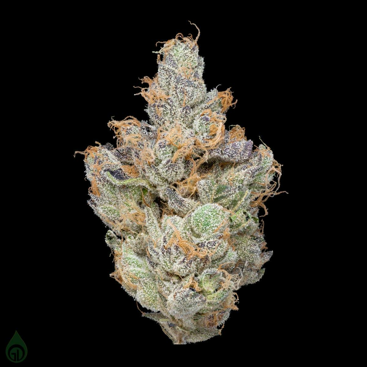 Photograph of product: GDL Black Label Flower (3.5g) | Picasso
